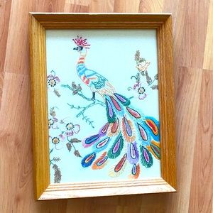 Beautiful Colourful Peacock